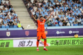 湛羽被老冯杀死为什么